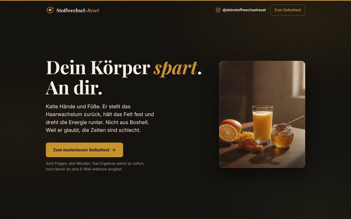 Startseite von Stoffwechsel-Reset am Rechner